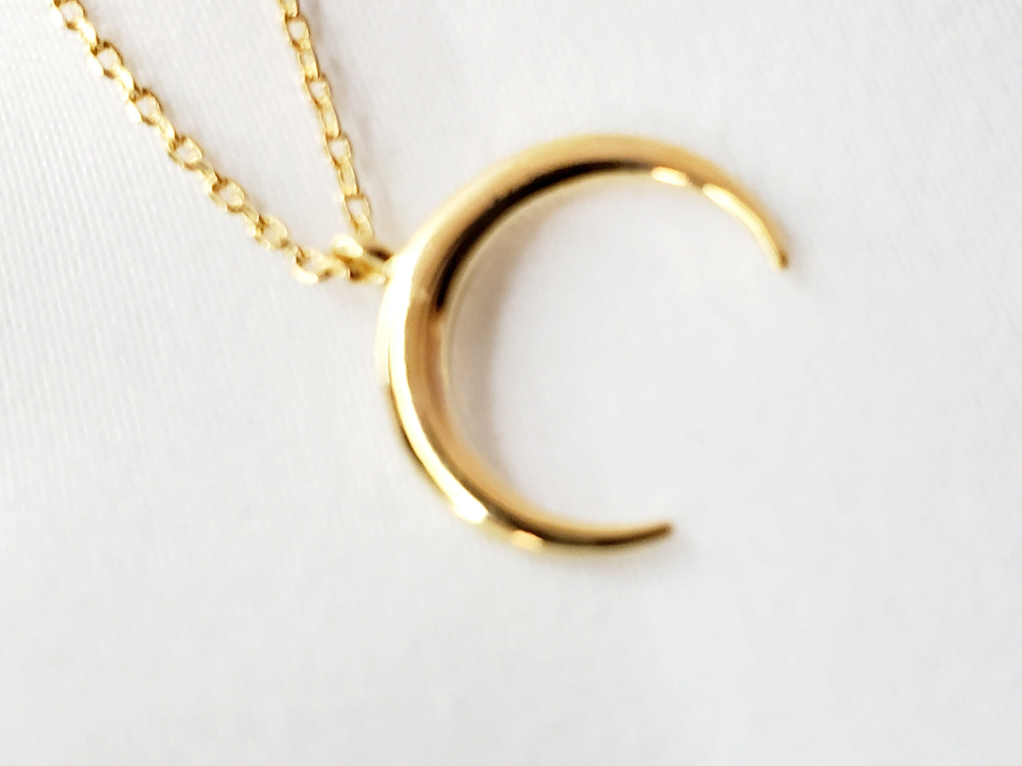 Horn Necklace